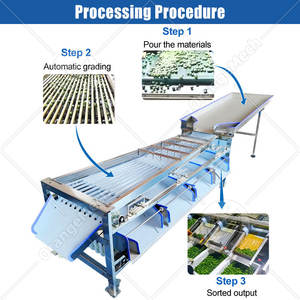 Ligne de tri automatique ORME pour les fruits (poires, kiwis, pommes, agrumes, avocats) et les pommes de terre - Product Image 3