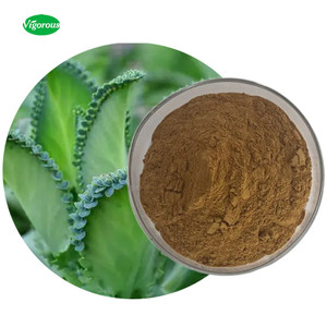 Poudre d'extrait de feuille de <span class=keywords><strong>Kalanchoe</strong></span> <span class=keywords><strong>Pinnata</strong></span> miracle naturel pur - Product Image 1