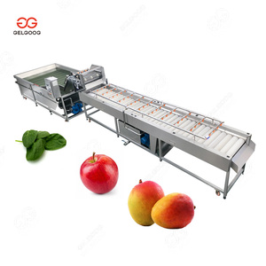 Limpieza de frutas industriales Procesamiento Arándano Fresa Piña <span class=keywords><strong>Lavadora</strong></span> de frutas Precio - Product Image 3