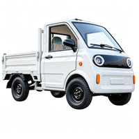 Camionnette électrique à cabine entièrement fermée EEC, 3500W, conduite à gauche, LiFePO4, benne basculante