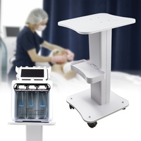 Plateau de rangement d'instruments, équipement de rangement en acier aluminium Mobile roue roulante support chariot Salon de beauté chariot Usa esthéticienne Spa