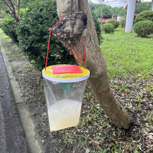Sac piège à mouches jetable Hanyang, pratique pour le <span class=keywords><strong>jardin</strong></span>, la ferme, l'intérieur, sac en plastique - Product Image 6
