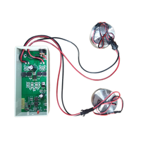 Amplifier Audio Stereo Blue-tooth 30W, dengan speaker vibrasi