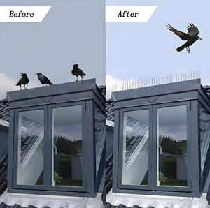 Piques <span class=keywords><strong>anti</strong></span>-oiseaux en acier inoxydable 304 massif, résistantes à la rouille, écologiques, résistantes aux intempéries, <span class=keywords><strong>anti</strong></span>-pigeons et <span class=keywords><strong>anti</strong></span>-courailles |   Utilisation commerciale, double rangée - Product Image 6