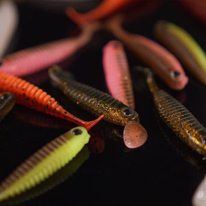 เหยื่อปลอม Daiwa 25 Parabellum T-Tail ขนาด 2.5 นิ้ว สำหรับตกปลาแบสในน้ำจืด - Product Image 1
