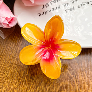 BLISSLIFE - Pinzas de Pelo con Flores Transparentes para Mujer, Accesorios para el Cabello, Pinzas de Pelo con Flores - Product Image 5