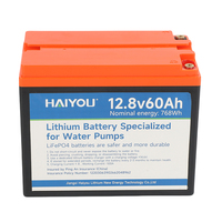 Batterie de stockage d'énergie rechargeable LiFePO4 prismatique au lithium-ion 12V 60Ah OEM d'usine 12.8V solaire HAIYOU 2000 cycles électrique