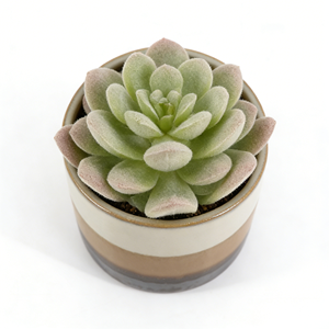 Suculentas Artificiales <span class=keywords><strong>de</strong></span> <span class=keywords><strong>Echeveria</strong></span> Lotus, Pequeñas Plantas Artificiales con Tacto Real, Plantas Suculentas <span class=keywords><strong>de</strong></span> Lotus Simuladas para el Hogar - Product Image 2