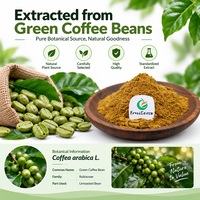 Extrait de grains de café vert Fruiterco en poudre, 50% d'acide chlorogénique, extrait végétal naturel pour la formulation de compléments alimentaires