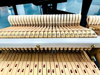 Top Grade Yamahas C2 Grand Piano of Excellent Quality Professional Music Use Japan