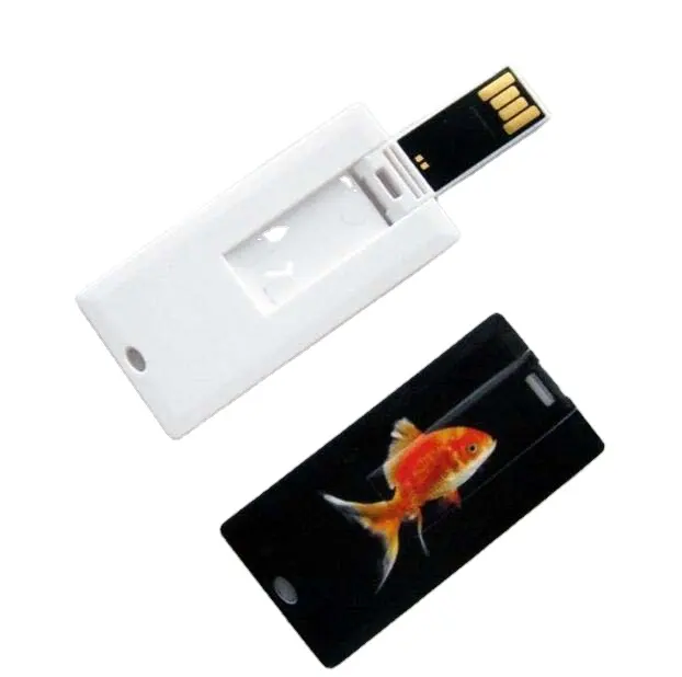 Rectangle mini plastic card usb flash drive 1gb 2gb 4gb 8gb 16gb 32gb 64gb 128g USB 2.0 3.0