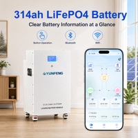 Аккумулятор Power Wall 48В 51.2В 300Ач 314Ач для солнечных батарей, домашний накопитель энергии 16кВтч, LiFePO4 батарея с JK BMS для бытового использования
