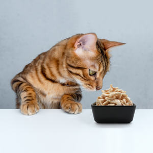 Ranova אורגני הקפאה-יבש שרימפס לחיות מחמד לטפל בתפזורת לקנות cfia ידידותי לסביבה & fda מאושר עבור חתולים וכלבים מזון יבש - Product Image 2