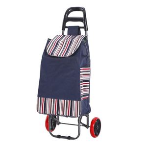 Carrito de Compras Plegable con 2 Ruedas y Logotipo Personalizado OEM Disponible - Product Image 1