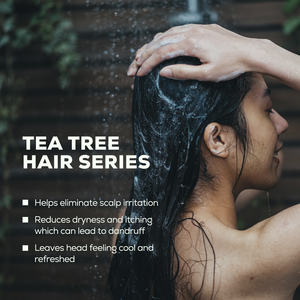 Champú de aceite orgánico para árbol de té, pelo limpio orgánico - Product Image 4