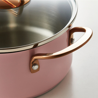 Marmite en acier inoxydable rose de 20 cm avec poignée or rose pour la restauration moderne, fourniture d'ustensiles de cuisine OEM ODM
