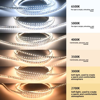 Bande LED RVB adressable flexible 12V IP20 120 LED/m, pleine couleur, dimmable, pour décoration intérieure et extérieure, DIY, ROHS Ra80