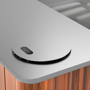 Syochi Buz Yapma Soğutucusu Paslanmaz Çelik Hepsi Bir Arada Soğuk Dalma Buz Banyosu Soğutucu ve Filtreli - Product Image 6