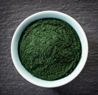 Poudre d'algues naturelles de haute qualité poudre de spiruline de qualité alimentaire