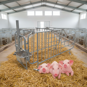 2026 Cabanes de gestation très demandées pour élevages porcins, enclos de gestation pour truies, cages de gestation pour porcs - Product Image 1