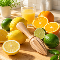 Presse-agrumes manuel en bois de hêtre, presse-citron, presse-orange et lime, outil de cuisine en bois massif