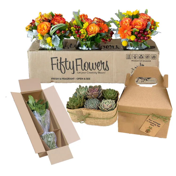 Cajas de cartón corrugado de tamaño personalizado, cajas de envío de plantas con logotipo