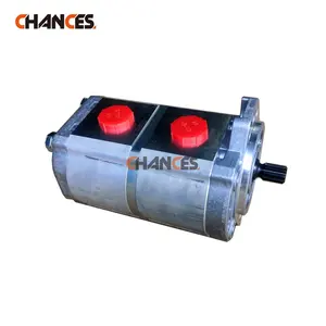 Replacement parts Italy hydraulic pumps dual pump for mini skid steer loader on sale