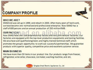 Refrigerador de 100 L para Gas y Queroseno con Personalización - Product Image 3