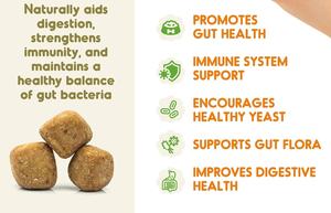 Probióticos para Perros con Prebióticos, Marca Privada OEM ODM, Promueve un Microbioma Intestinal Equilibrado, Refuerza la Salud Inmunológica, Masticables Blandos - Product Image 2