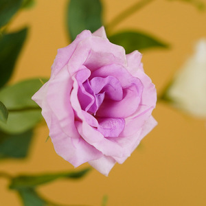 Lysianthus artificiel Ruilisi à 3 têtes, rose, blanc laiteux, champagne, violet, pour décoration de mariage et de maison, 30cm-100cm - Product Image 4