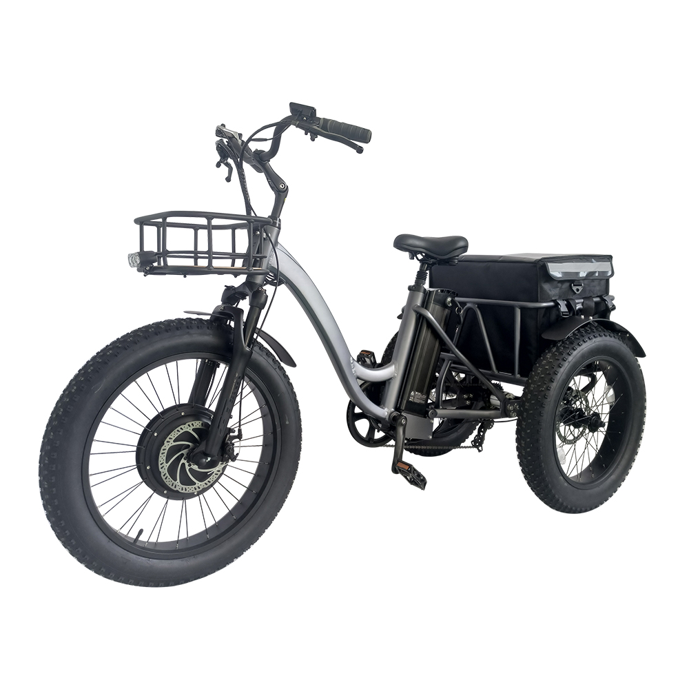 48V 1000W ebike bici elettrica 3 ruote tricicli elettrici 3 ruote bici da carico elettrica bici elettrica 3 ruote