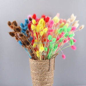 Fleurs séchées en gros, tournesols séchés Dipsacus Sativus pour l'arrangement floral, décoration intérieure - Product Image 6