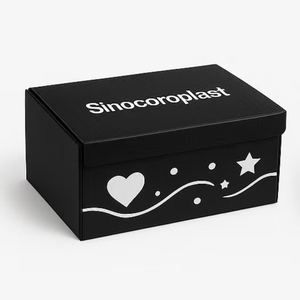 صناديق شحن سوداء مضلعة قابلة للطي بتصميم مخصص من الصين للبيع بالجملة، صناديق أحذية لتخزين الألوان مطبوعة حسب الطلب مع شعار مخصص - Product Image 6