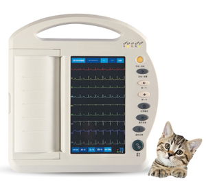 Mesin EKG Veteriner 12 Kanal Layar Sentuh 10-inci dengan Interpretasi <span class=keywords><strong>ECG</strong></span>-1212A - Product Image 5