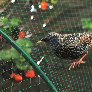 Red Antipájaros de Plástico Resistente para Campos de Arroz y Protección de Hangares, Gran Venta - Product Image 5
