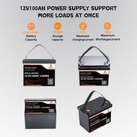 Fournisseur de batteries lithium-ion 12V pour bateaux et camping-cars, batterie Lifepo4 12V 100Ah