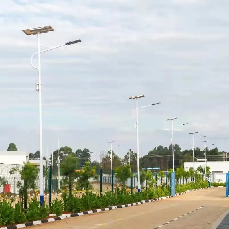 Lampu Jalan Tenaga Surya Baterai Lithium Luar Ruangan Dekoratif Ramah Lingkungan Kualitas Tinggi