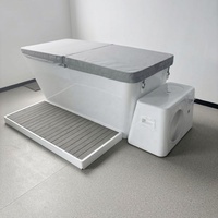 Bain de glace gonflable portable moderne et écologique en PVC avec refroidisseur et contrôle Wi-Fi pour la récupération en extérieur après une exposition à la chaleur ou une activité sportive intenses