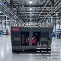 Generatoren für Notstromversorgung zu Hause 30KW 40KVA 50KW 50KVA Tragbarer Gasgenerator 50Hz 60Hz mit Autostart Leise Stromversorgung Cummins