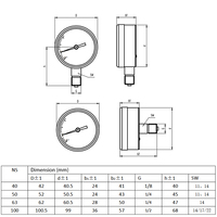 Stainless Steel Liquid Filled Pressure Gauge Bottom Connection Shockproof Hydraulic Oil Water Air