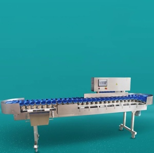 Máquina Clasificadora Óptica Automática Avanzada de Acero Inoxidable 304 para Mango, Pepino, Trufa, Champiñón y Ostra - Product Image 6