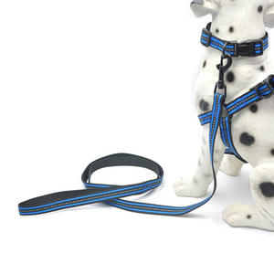 Hanyang-<span class=keywords><strong>Collar</strong></span> reflectante de nailon para perro, accesorio personalizado, producto para perro, venta al por mayor - Product Image 3