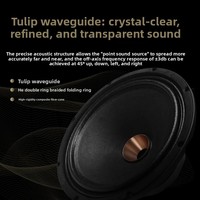 Enceinte passive haut de gamme HQ15 coaxiale de qualité audiophile avec crossover audio bidirectionnel et boîtier en bois