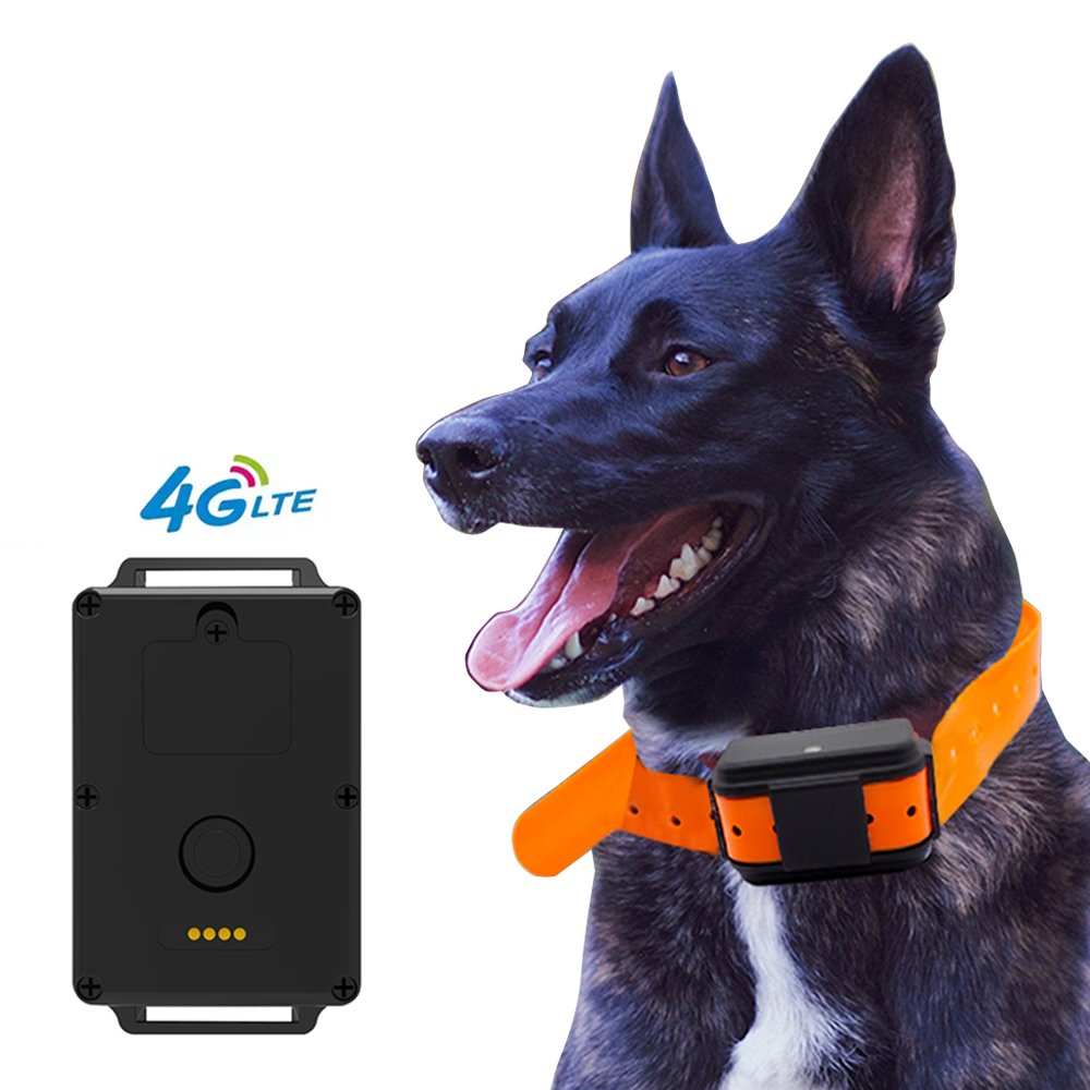 Высокочувствительный 4G RTK GPS локатор, встроенный GSM-ошейник для домашних животных с двойным модулем позиционирования звезды, собачья бирка