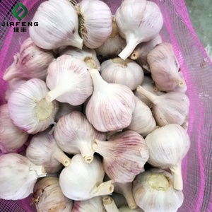 Bon <span class=keywords><strong>prix</strong></span> <span class=keywords><strong>Ail</strong></span> blanc frais chinois pour la vente en gros de légumes frais en sacs/cartons en filet de 20kg <span class=keywords><strong>prix</strong></span> d'usine <span class=keywords><strong>ail</strong></span> blanc frais - Product Image 2