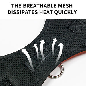 Arnés de moda para gatos con diseño sólido, material de neopreno suave, característica de liberación rápida, decoración con cintas, ajustable, proveedor de artículos para <span class=keywords><strong>mascotas</strong></span> - Product Image 5