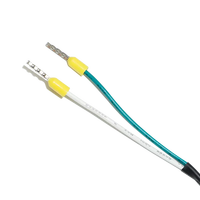 OED – câble torsadé personnalisé à 2 broches 24awg avec connecteur Dupont et assemblage de faisceau de fil Terminal de virole