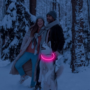 Grosir kalung LED isi ulang USB-C kerah anjing kucing berpendar plastik elegan untuk keamanan malam tersedia ukuran besar kecil
