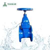 Vanne à opercule en fonte ductile GGG50 à passage plein DIN3352 F4 PN16 DN100-DN500 à brides EPDM avec revêtement époxy bleu