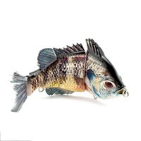 Appâts de pêche artificiels Appâts de natation articulés en eau douce salée pour la conception de leurre de pêche au brochet et à la truite